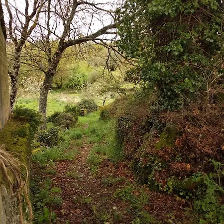 Casa O Buxo Holiday home Lugo