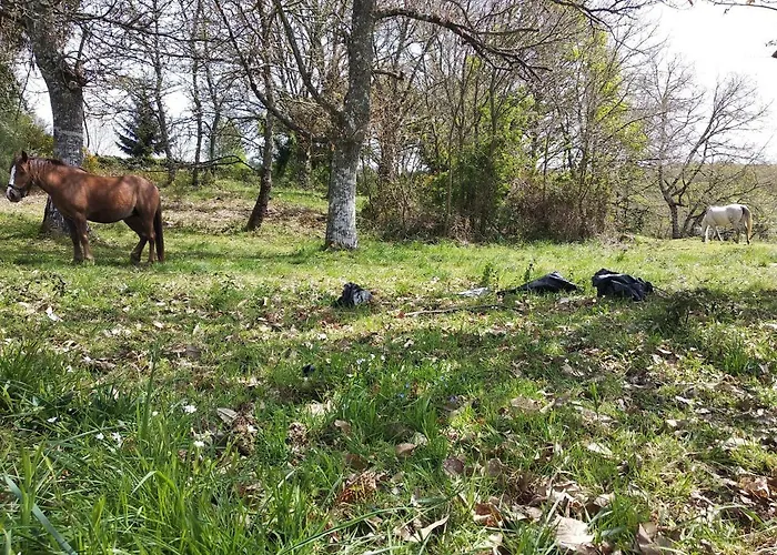 Casa O Buxo Луго
